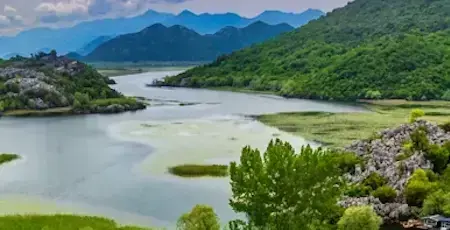 Skadar Lake Value Boat Tour